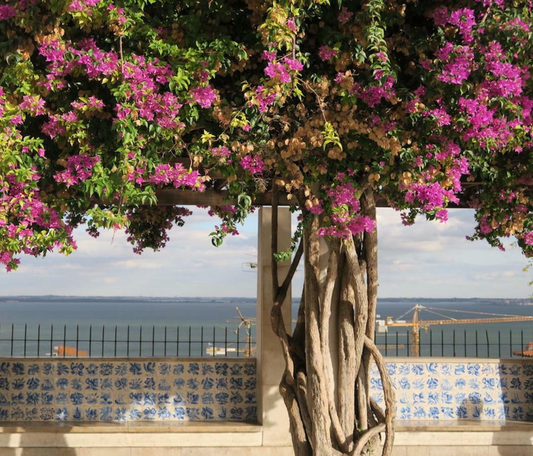 Cativos - Alfama Center District Appartement Lissabon